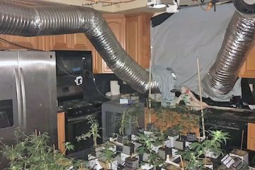 Illegal Marijuana Grows: Electric Connections